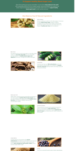LANDING PAGE4